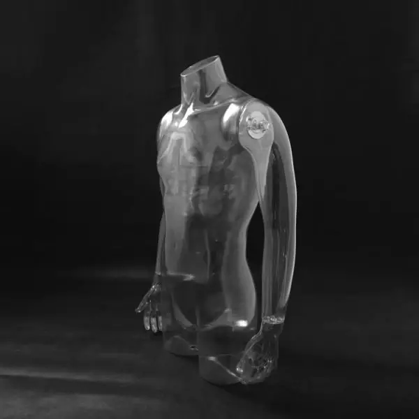 M&auml;nnlicher Torso