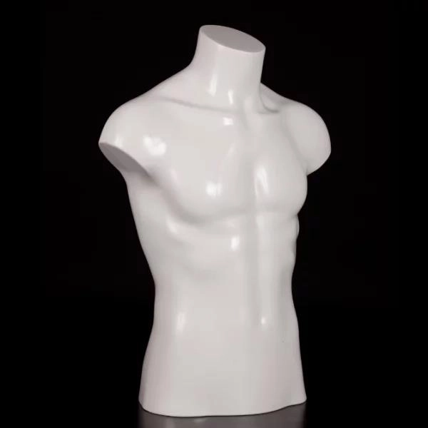 Männliches halblanges Modell